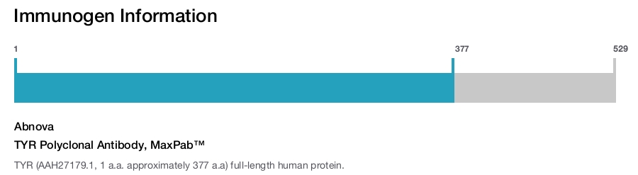 TYR Polyclonal Antibody, MaxPab&trade;