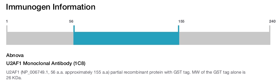 U2AF1 Monoclonal Antibody (1C8)