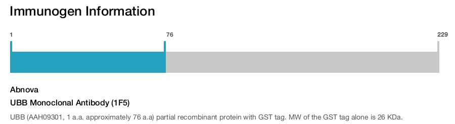 UBB Monoclonal Antibody (1F5)