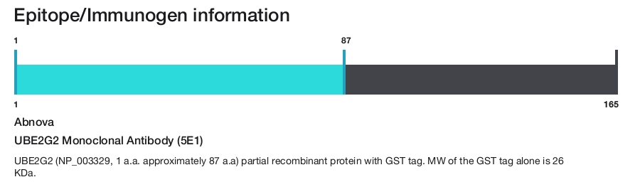 UBE2G2 Monoclonal Antibody (5E1)