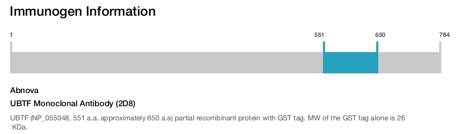 UBTF Monoclonal Antibody (2D8)
