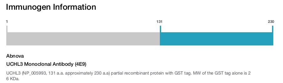 UCHL3 Monoclonal Antibody (4E9)