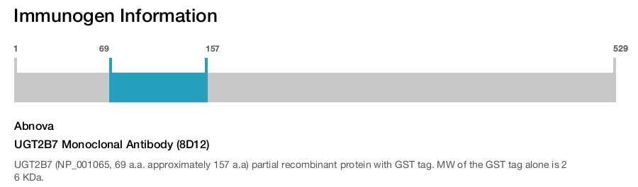 UGT2B7 Monoclonal Antibody (8D12)