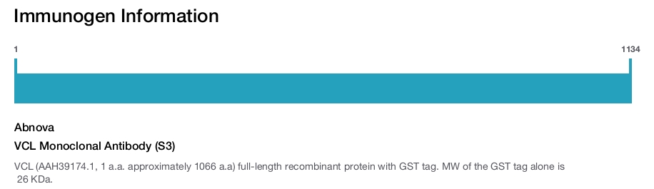 VCL Monoclonal Antibody (S3)