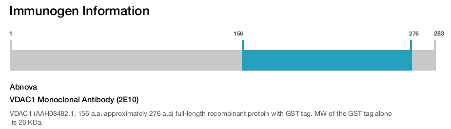 VDAC1 Monoclonal Antibody (2E10)