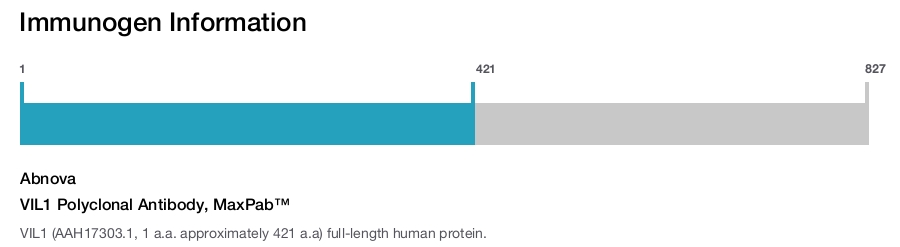 VIL1 Polyclonal Antibody, MaxPab&trade;
