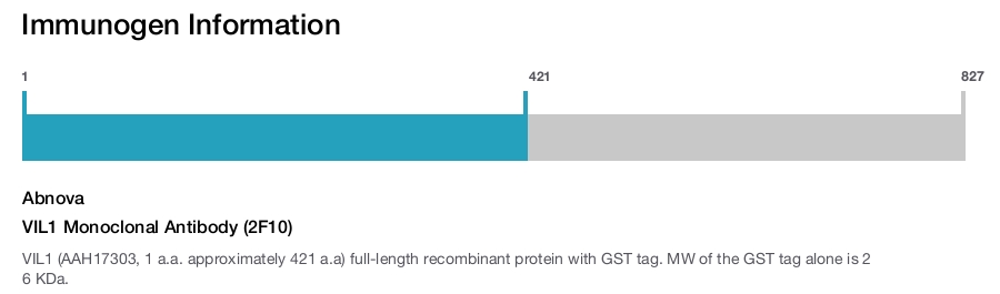 VIL1 Monoclonal Antibody (2F10)