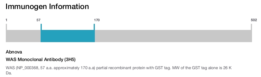 WAS Monoclonal Antibody (3H5)