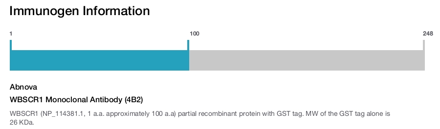 WBSCR1 Monoclonal Antibody (4B2)