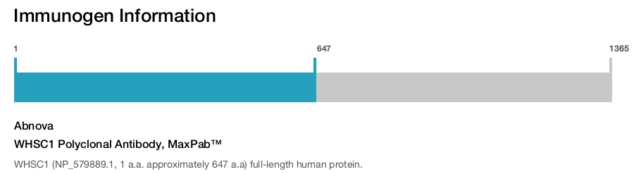 WHSC1 Polyclonal Antibody, MaxPab™