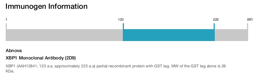 XBP1 Monoclonal Antibody (2D9)