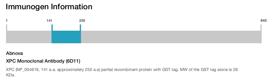 XPC Monoclonal Antibody (6D11)