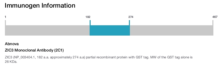 ZIC3 Monoclonal Antibody (2C1)
