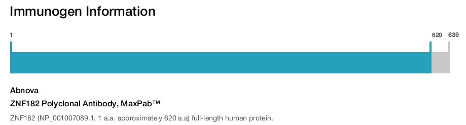 ZNF182 Polyclonal Antibody, MaxPab™