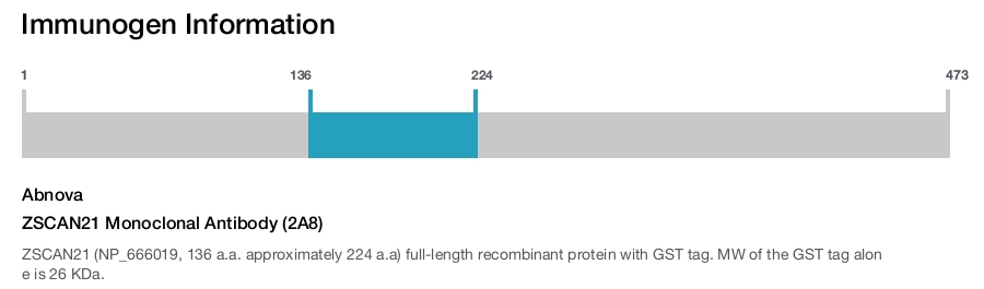 ZSCAN21 Monoclonal Antibody (2A8)