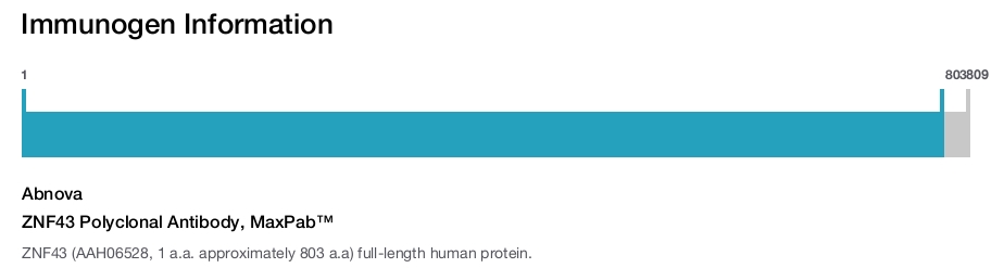 ZNF43 Polyclonal Antibody, MaxPab™
