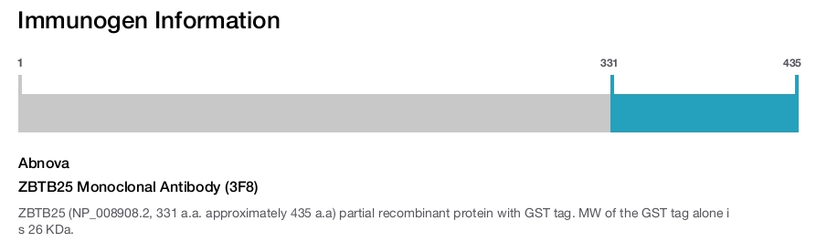 ZBTB25 Monoclonal Antibody (3F8)