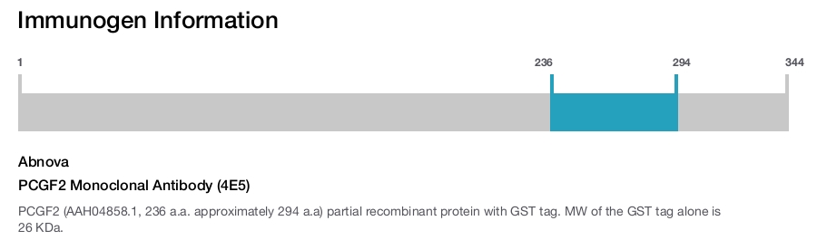 PCGF2 Monoclonal Antibody (4E5)
