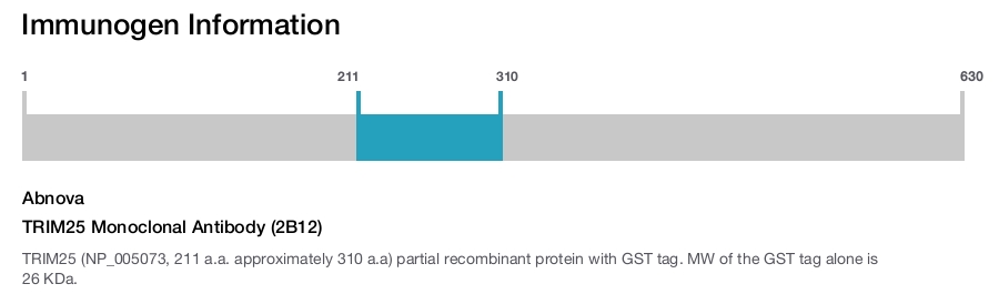 TRIM25 Monoclonal Antibody (2B12)