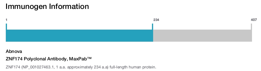 ZNF174 Polyclonal Antibody, MaxPab™