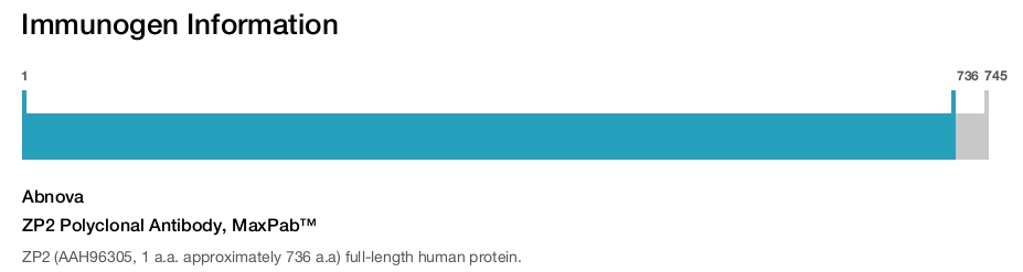 ZP2 Polyclonal Antibody, MaxPab™