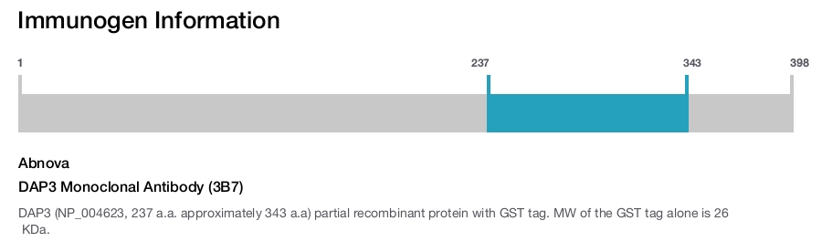 DAP3 Monoclonal Antibody (3B7)