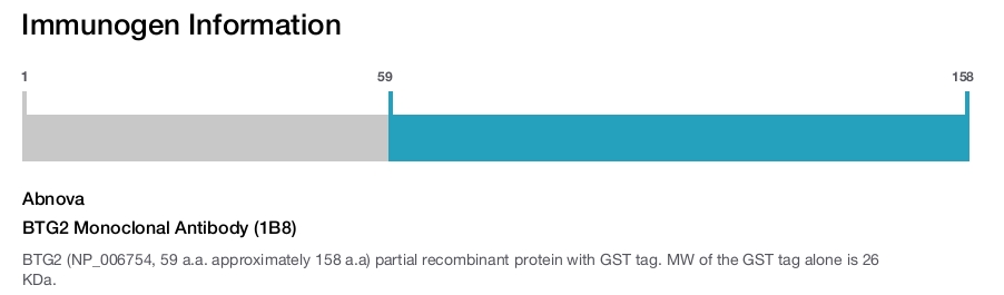 BTG2 Monoclonal Antibody (1B8)