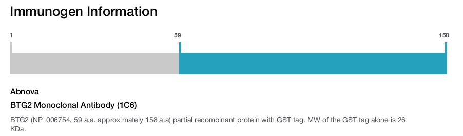 BTG2 Monoclonal Antibody (1C6)