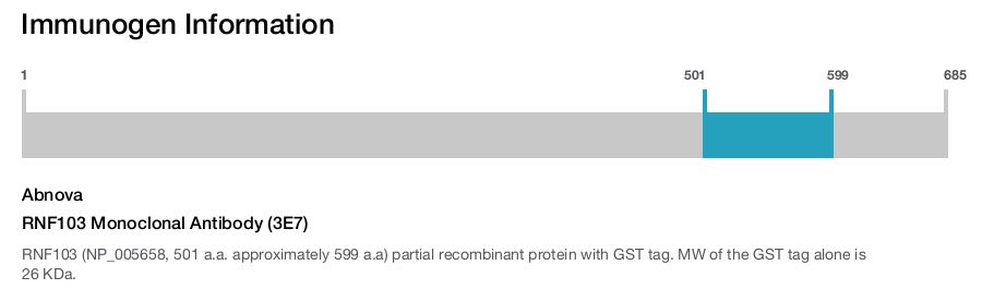 RNF103 Monoclonal Antibody (3E7)