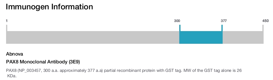 PAX8 Monoclonal Antibody (3E9)