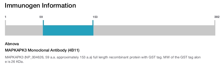 MAPKAPK3 Monoclonal Antibody (4B11)