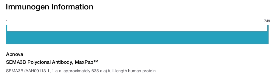 SEMA3B Polyclonal Antibody, MaxPab™