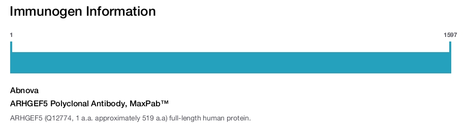 ARHGEF5 Polyclonal Antibody, MaxPab™