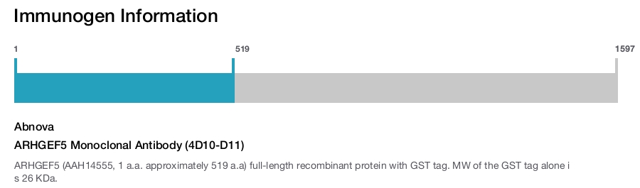 ARHGEF5 Monoclonal Antibody (4D10-D11)