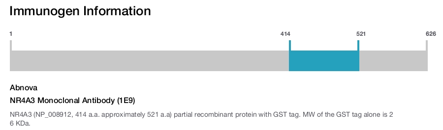 NR4A3 Monoclonal Antibody (1E9)