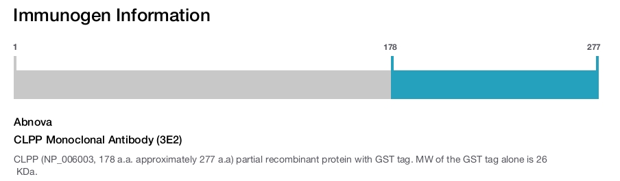 CLPP Monoclonal Antibody (3E2)