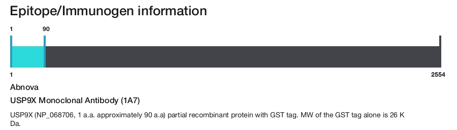 USP9X Monoclonal Antibody (1A7)