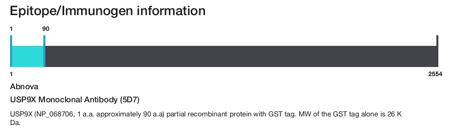 USP9X Monoclonal Antibody (5D7)