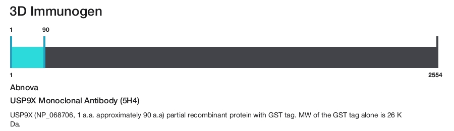 USP9X Monoclonal Antibody (5H4)