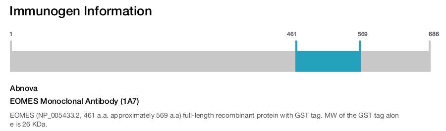 EOMES Monoclonal Antibody (1A7)