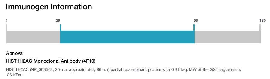 HIST1H2AC Monoclonal Antibody (4F10)