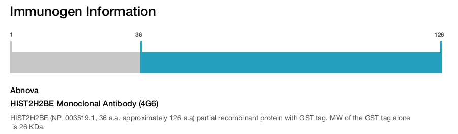 HIST2H2BE Monoclonal Antibody (4G6)