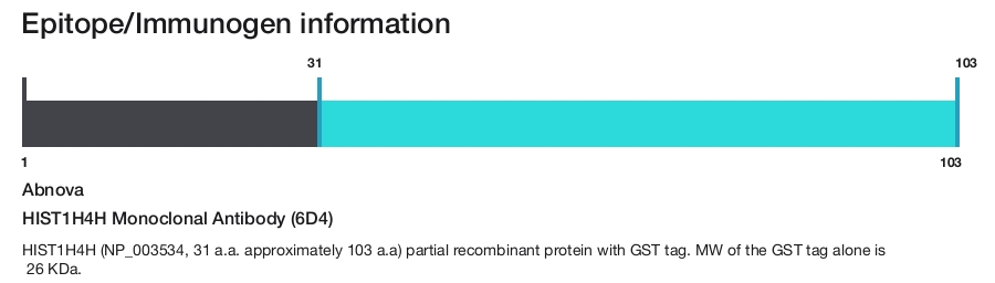 HIST1H4H Monoclonal Antibody (6D4)