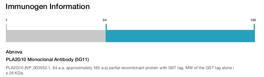 PLA2G10 Monoclonal Antibody (5G11)