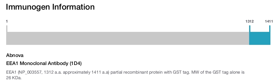 EEA1 Monoclonal Antibody (1D4)