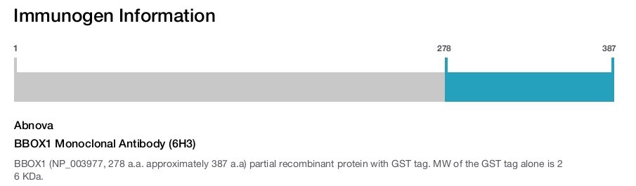 BBOX1 Monoclonal Antibody (6H3)