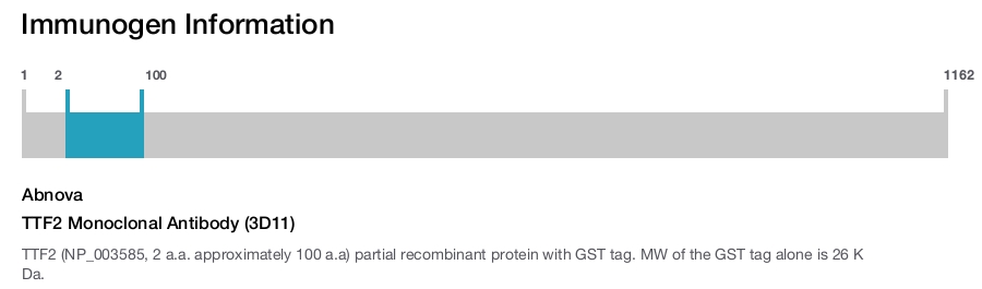 TTF2 Monoclonal Antibody (3D11)