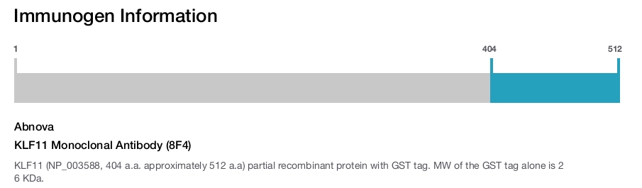 KLF11 Monoclonal Antibody (8F4)