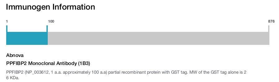 PPFIBP2 Monoclonal Antibody (1B3)
