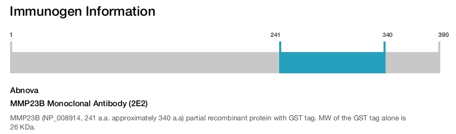 MMP23B Monoclonal Antibody (2E2)